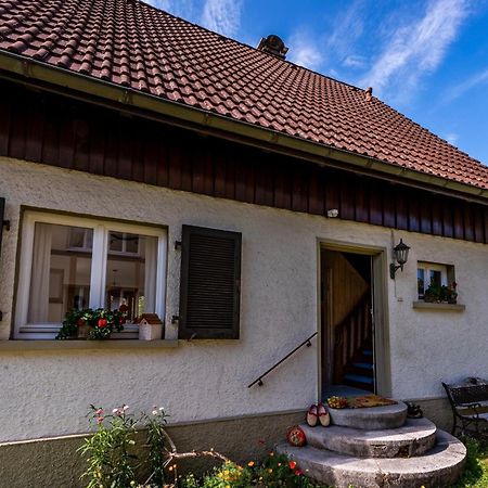 Gartenferienhaus "Annaluise" Schönau im Schwarzwald Exterior foto