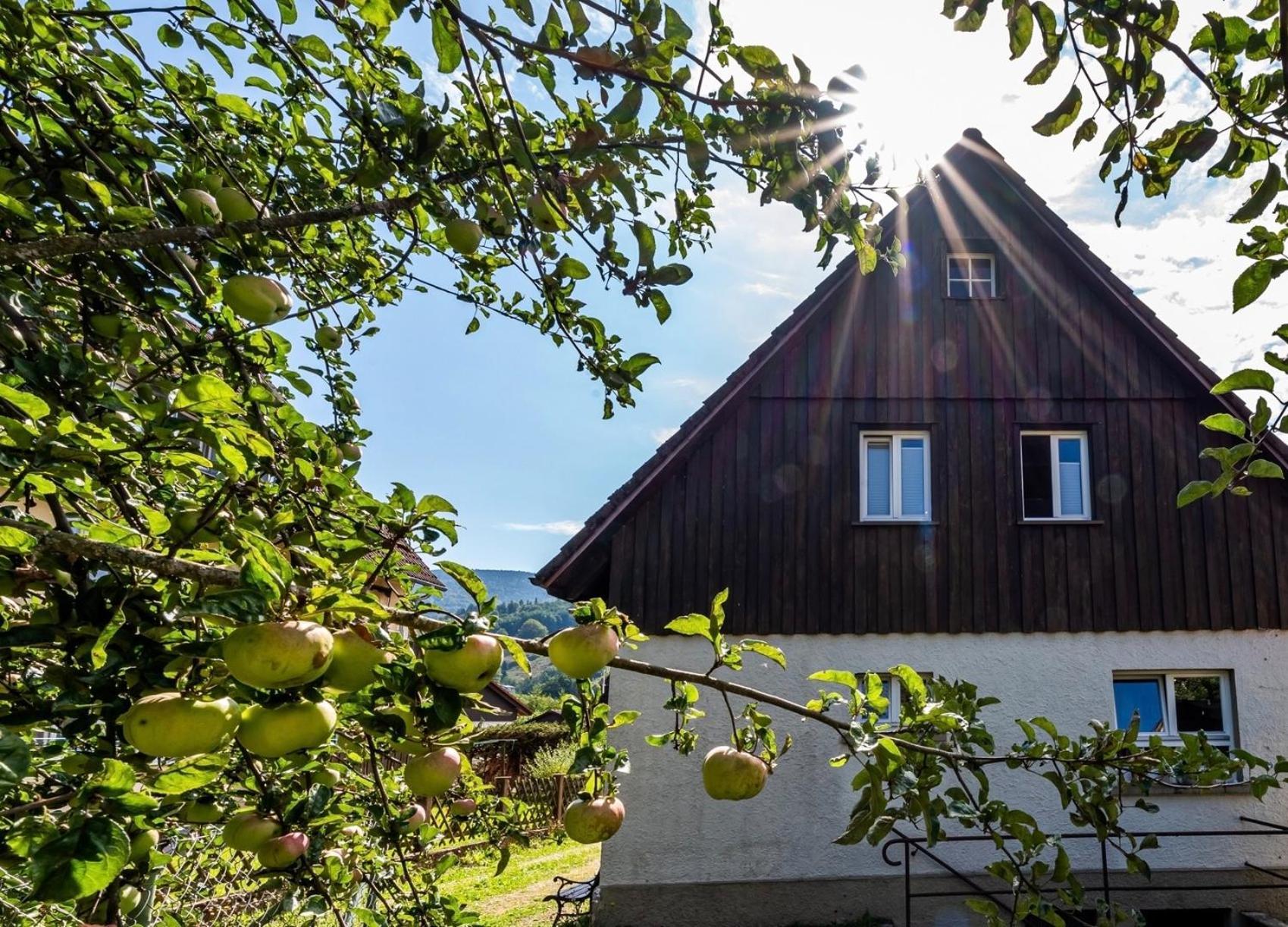 Gartenferienhaus "Annaluise" Schönau im Schwarzwald Exterior foto